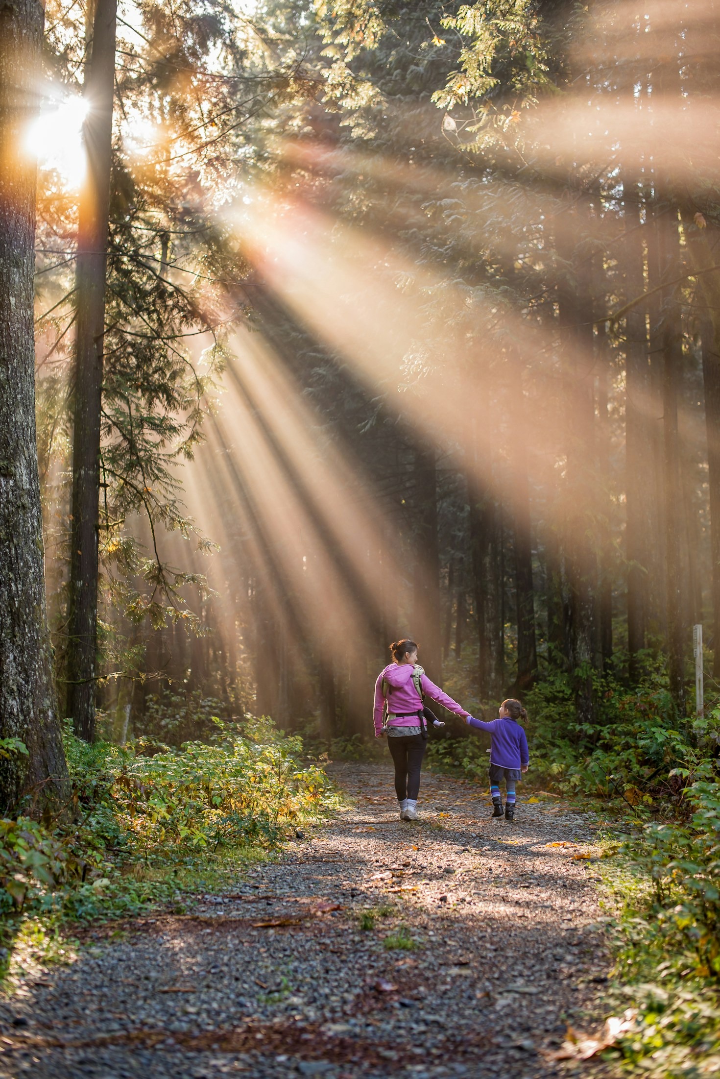 How Nutrition Shapes a Mother’s Daily Energy